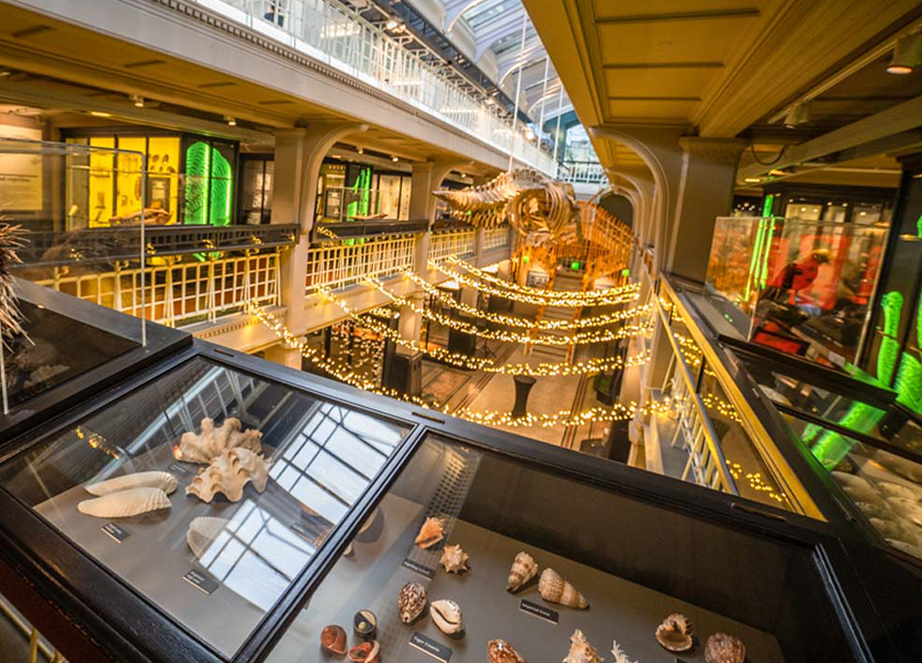 The Manchester University Museum, boasting over 4.5 million items